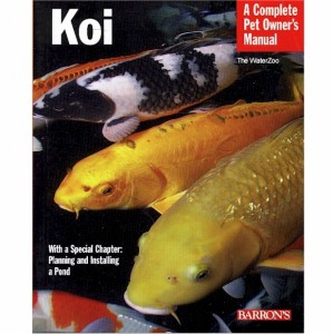 Barron Koi